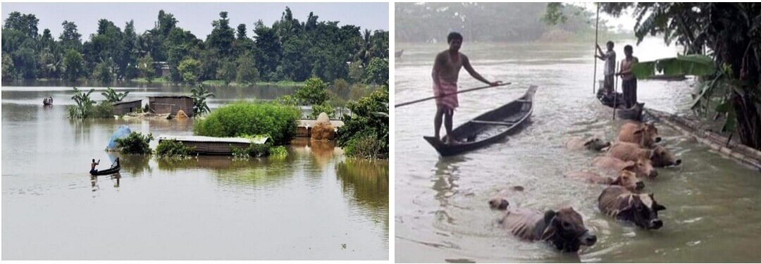 বন্যা কবলিত বিহার ও অসমের ত্রাণে মুক্ত হস্তে দান করুন