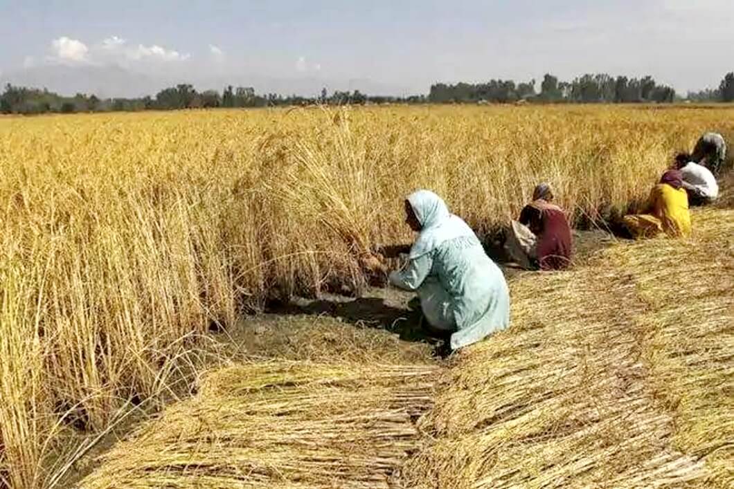 রাষ্ট্রপতির স্বাক্ষর করা তিনটি অধ্যাদেশ : মূল মূল পয়েন্ট