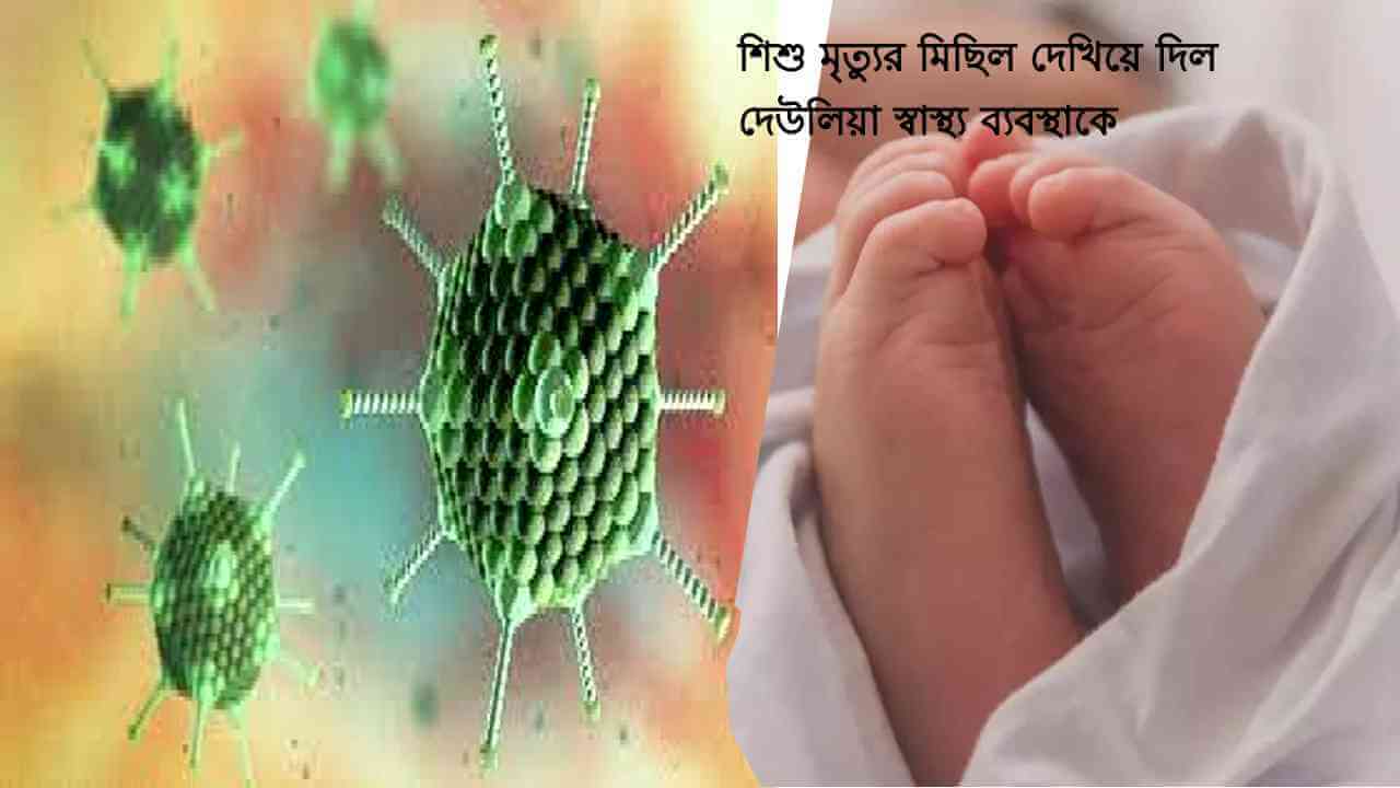 শিশু মৃত্যুর মিছিল দেউলিয়া স্বাস্থ্য ব্যবস্থাকে দেখিয়ে দিল