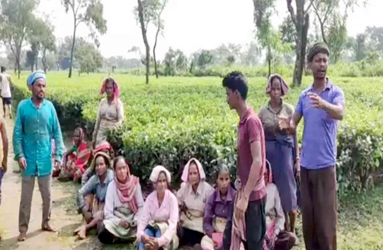 চোপড়ায় বন্ধ চা বাগানের আদিবাসী শ্রমিকদের উপর হামলা