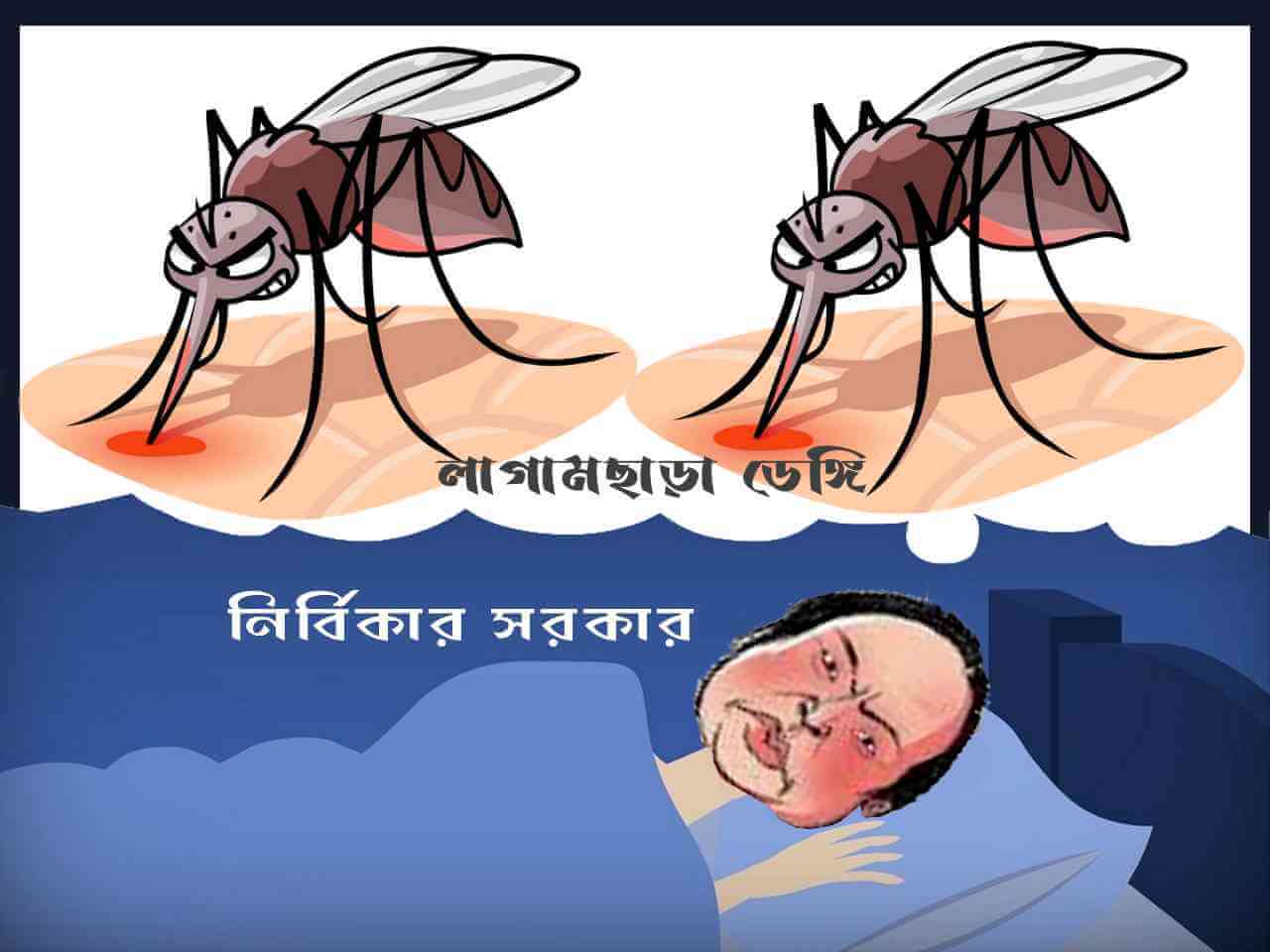 লাগামছাড়া ডেঙ্গি, নির্বিকার সরকার