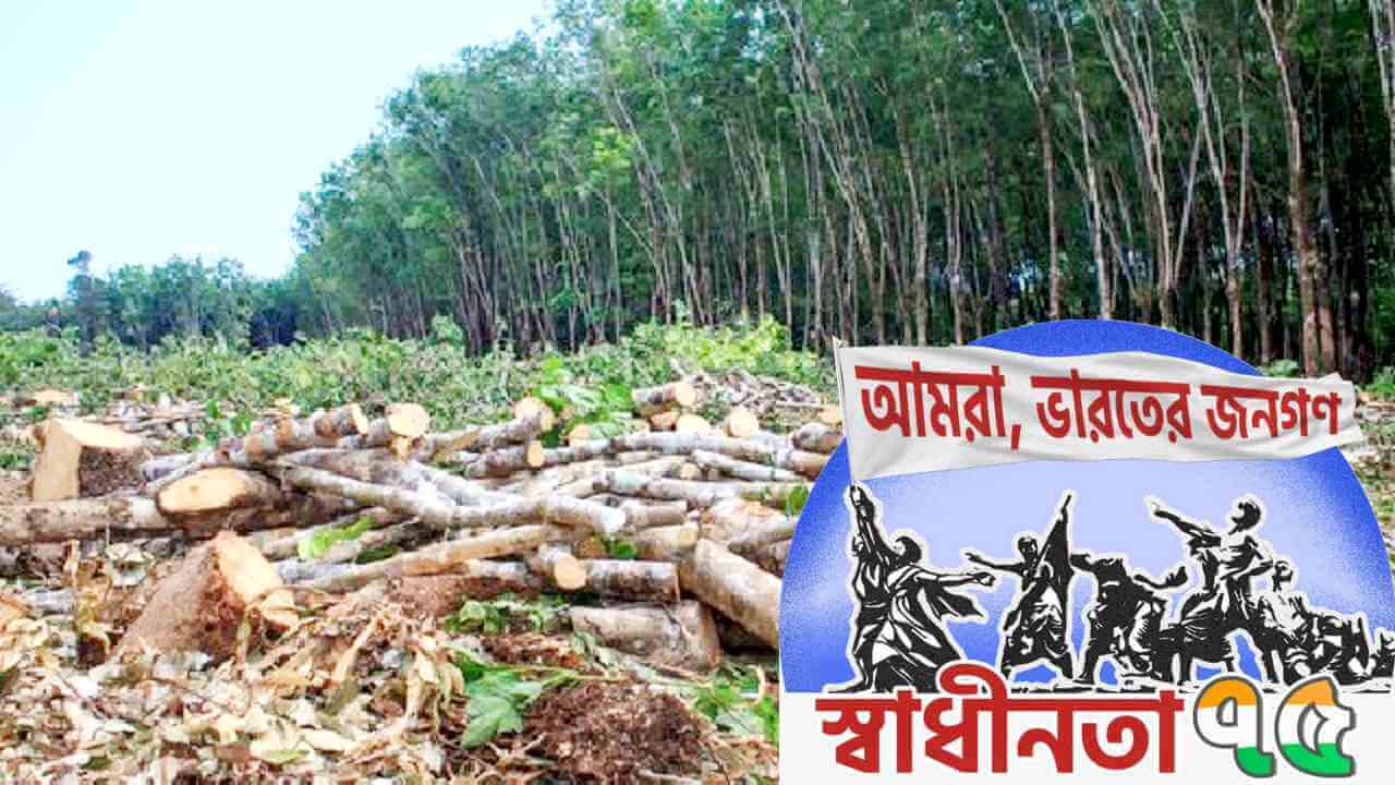 স্বাধীনতার ৭৫ বছর ও পরিবেশ ভাবনা