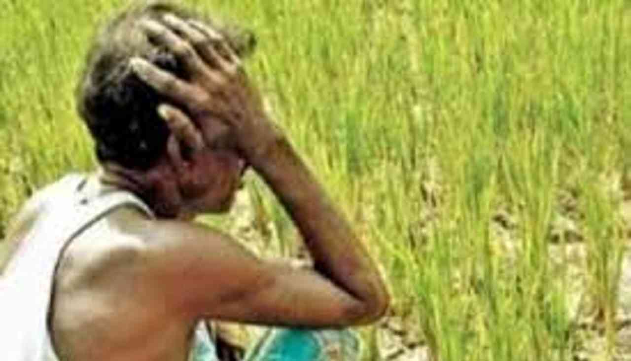 সরকারি প্রকল্পে বঞ্চিত কৃষকদের পাশে দাঁড়াতে হবে