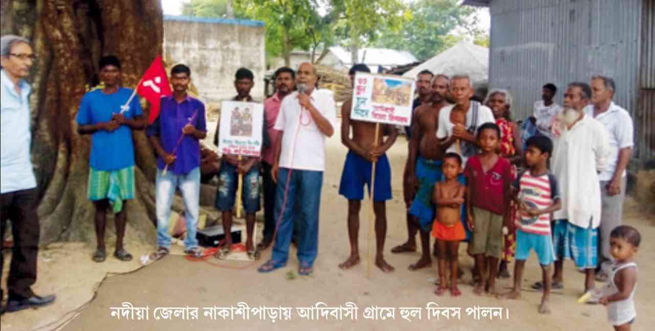 নদীয়ায় আদিবাসী গ্রামে হুল দিবস