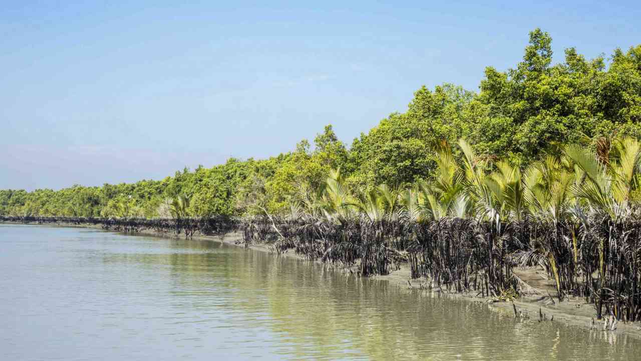 ঘূর্ণিঝড় ... স্থায়ী সমাধানের সন্ধানে