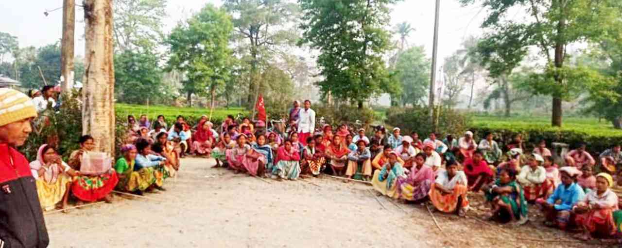 ন্যুনতম মজুরি, জমির পাট্টার দাবিতে  পাহাড়-তরাই-ডুয়ার্সে চা শ্রমিকদের ঐক্যবদ্ধ আন্দোলন শুর হল